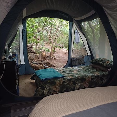 Adorable Unique Guest House - African Bush Feel Kalkheuvel Zewnętrze zdjęcie