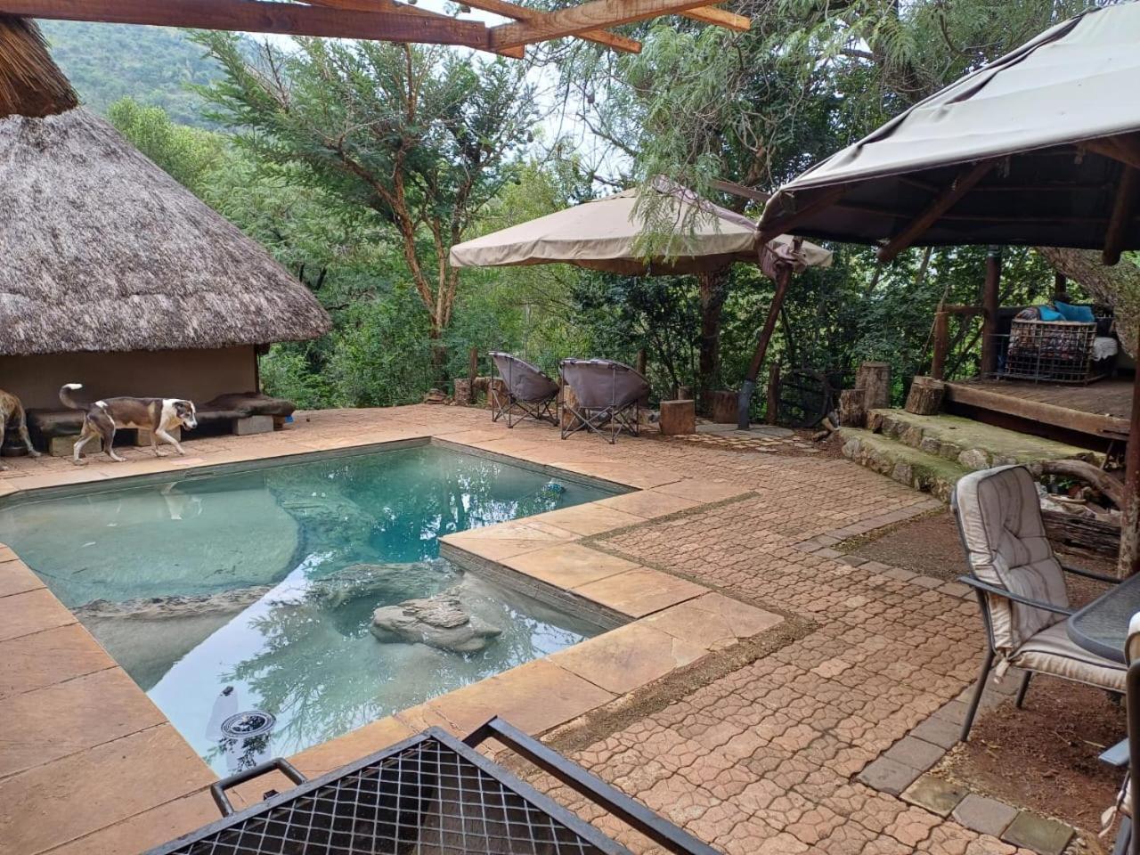 Adorable Unique Guest House - African Bush Feel Kalkheuvel Zewnętrze zdjęcie